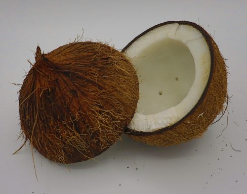 Coconut